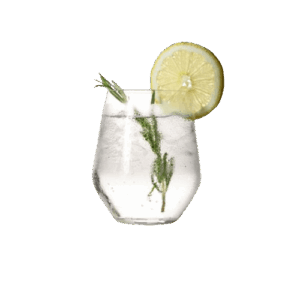 Gin tonic