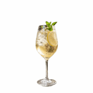 le Spritz St Germain